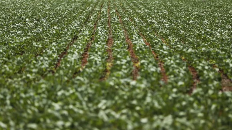 Disputa entre Agronegócio e Governo sobre Dívidas Rurais