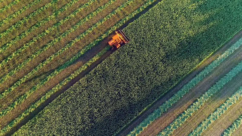 Novo sistema do Ibama endurece checagem de dados ambientais para concessão de crédito rural