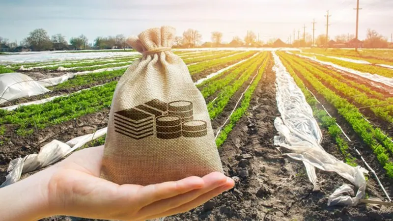 Alterações no Manual de Crédito Rural: procedimentos para prorrogação de dívidas são atualizados