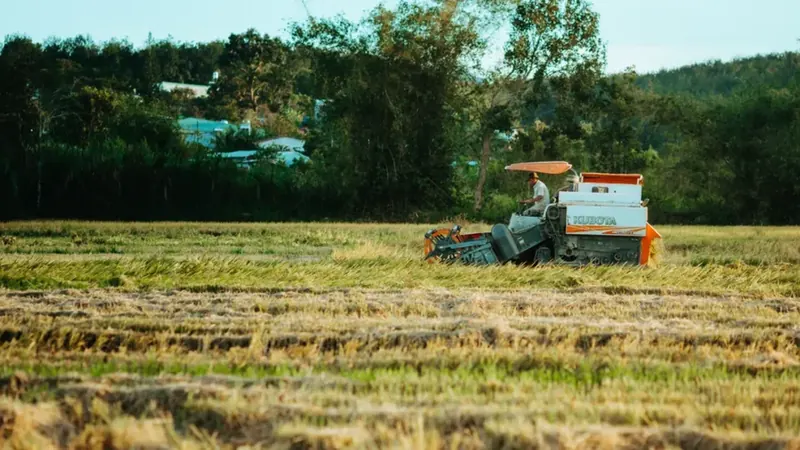 Crédito agrícola encolhe e produtor sente aperto