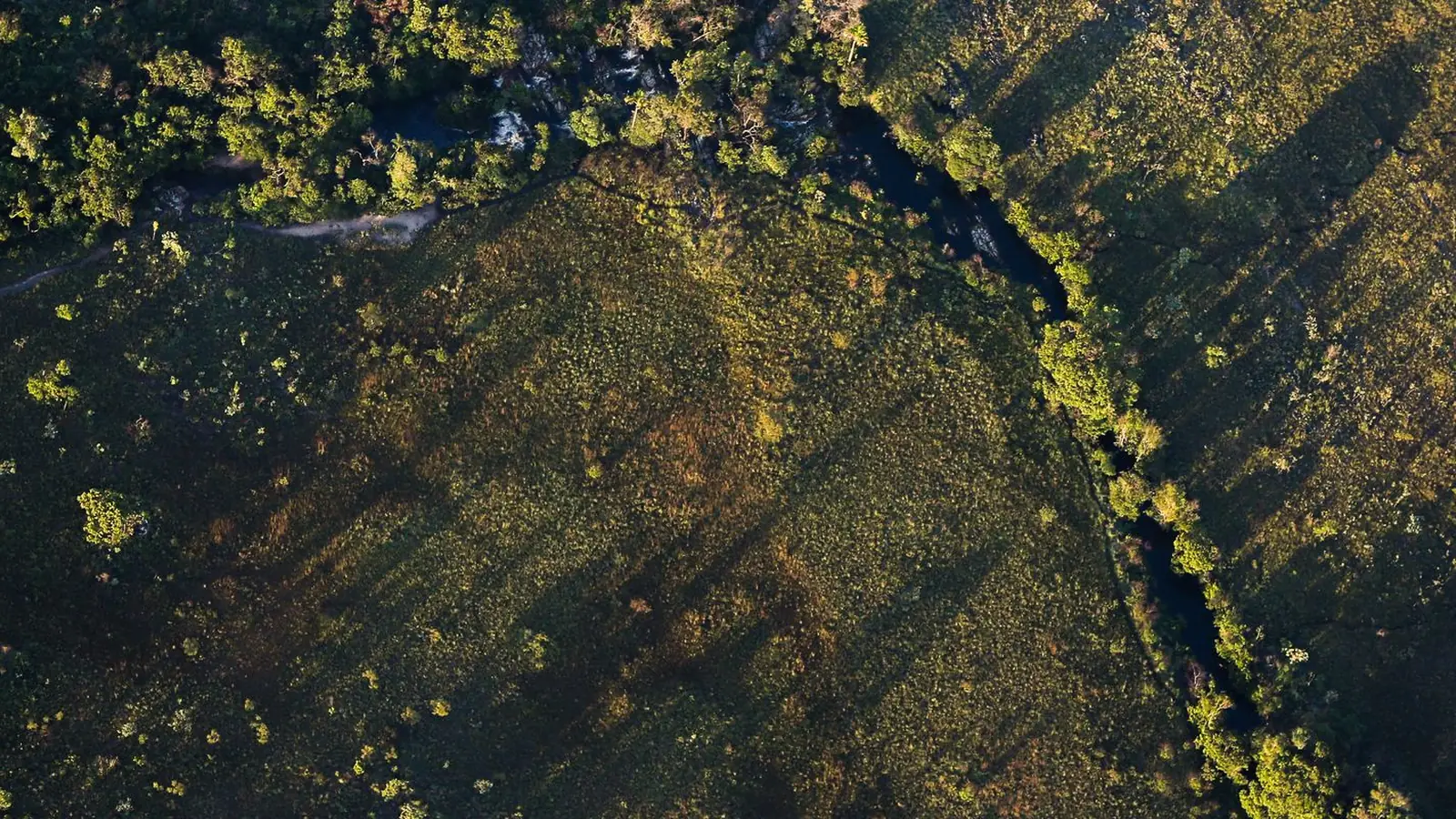 CMN aprova juros mais baixos para financiamento rural sustentável