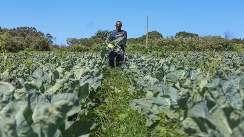 Agro insiste em teto maior para renegociação de dívidas rurais