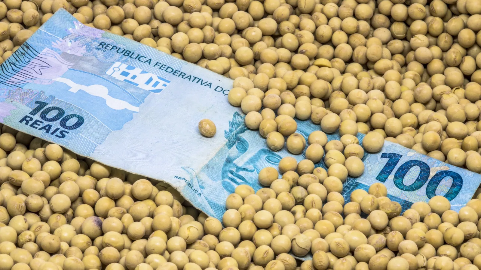 Críticas à Resolução 3.514/2026 do CMN afetam crédito rural