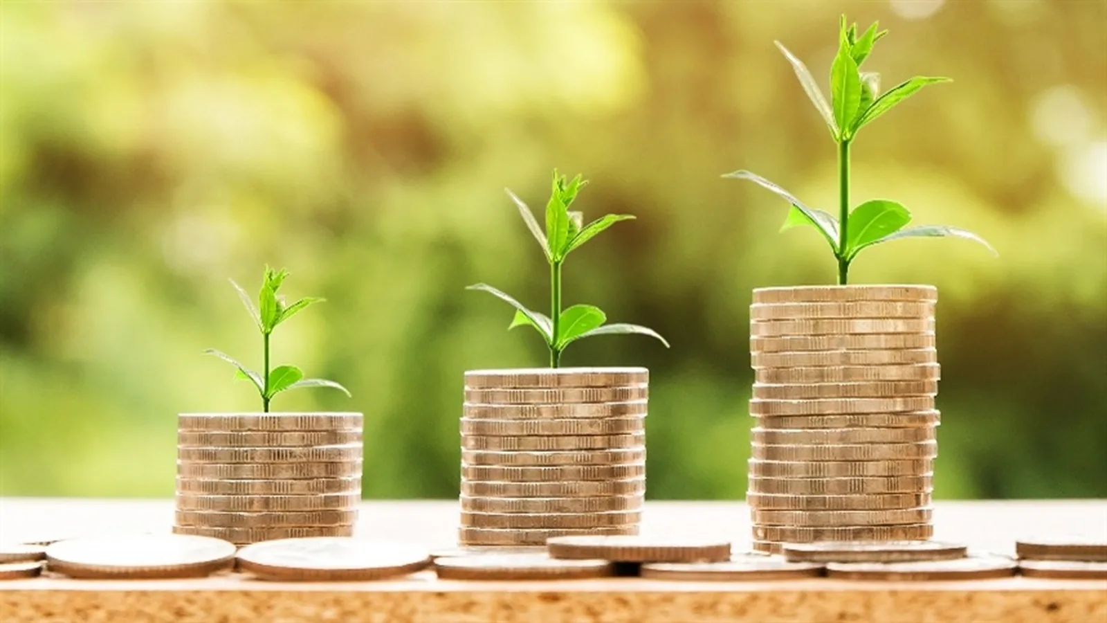 Inadimplência no agronegócio cresce em 2026 e revela desigualdades regionais