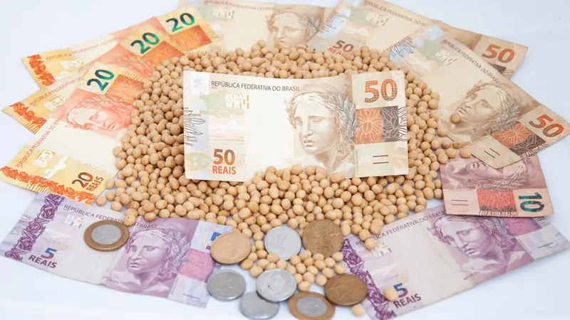 Financiamento agropecuário no Brasil cai 25,8% em 12 meses, segundo Farsul