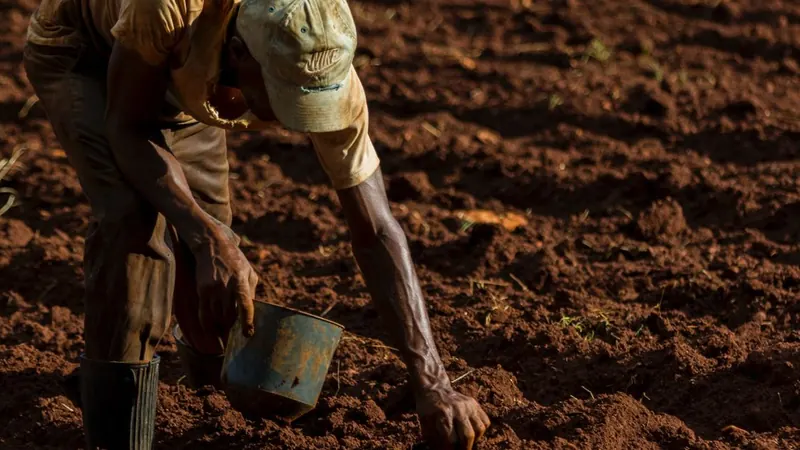 Inadimplência no agro deve manter alta de processos de reestruturação