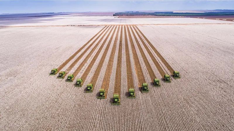 “É uma LCA”. O diagnóstico do mercado sobre as CPRs da SLC Agrícola