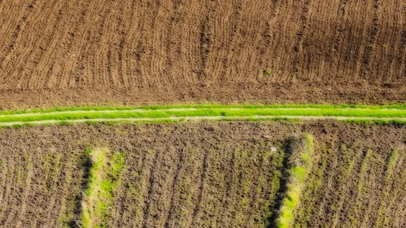 Bancos assumem fazendas para recuperar R$ 48 bi no agro