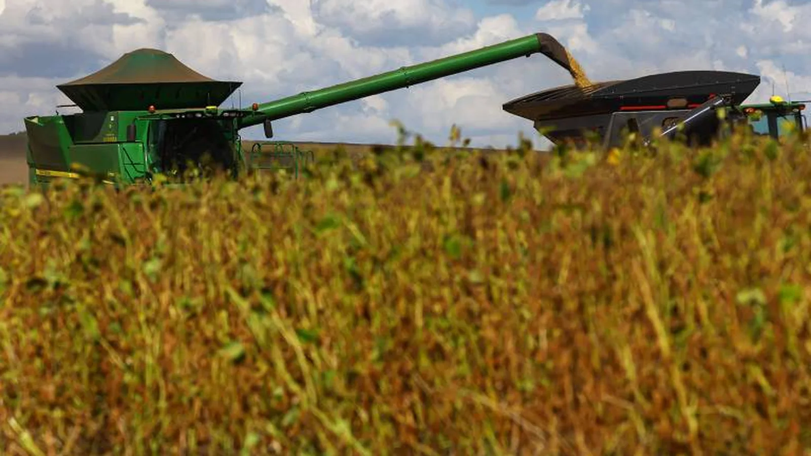 Inadimplência da população rural sobe para 8,8% no 1º trimestre de 2026