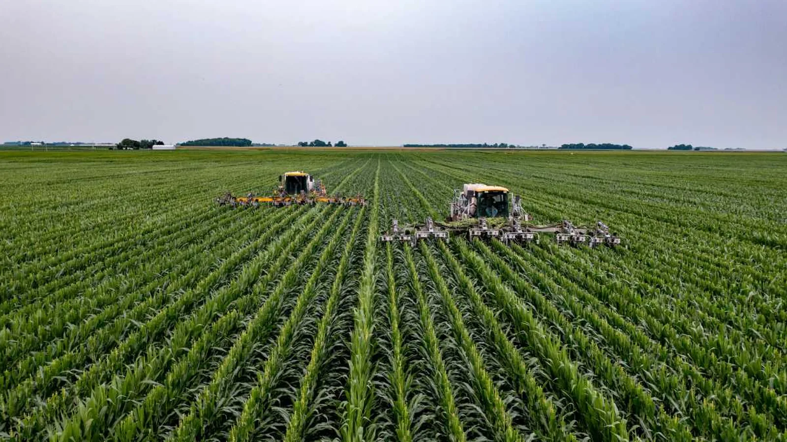 Banco do Brasil: nova MP do agro traz alívio no curto prazo, mas não elimina desafios