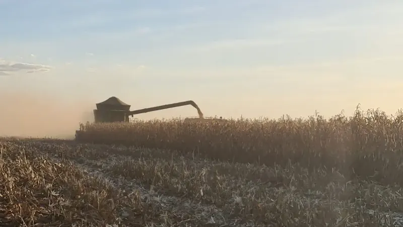 Crédito mais caro abre espaço para operações estruturadas no agro