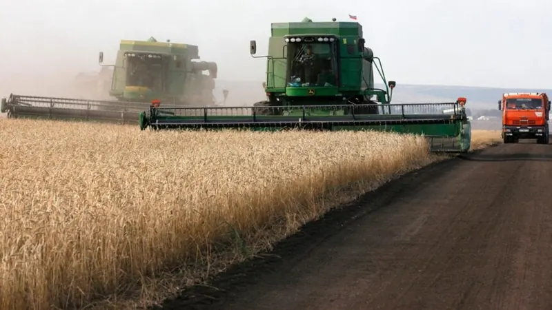 Analistas Veem Alívio para BB no Curto Prazo com Programa de Renegociação de Dívidas do Setor Rural, Mas Seguem Cautelosos