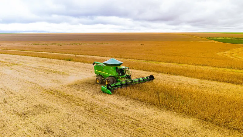 Inadimplência no crédito rural brasileiro alcança R$ 48,6 bilhões em agosto