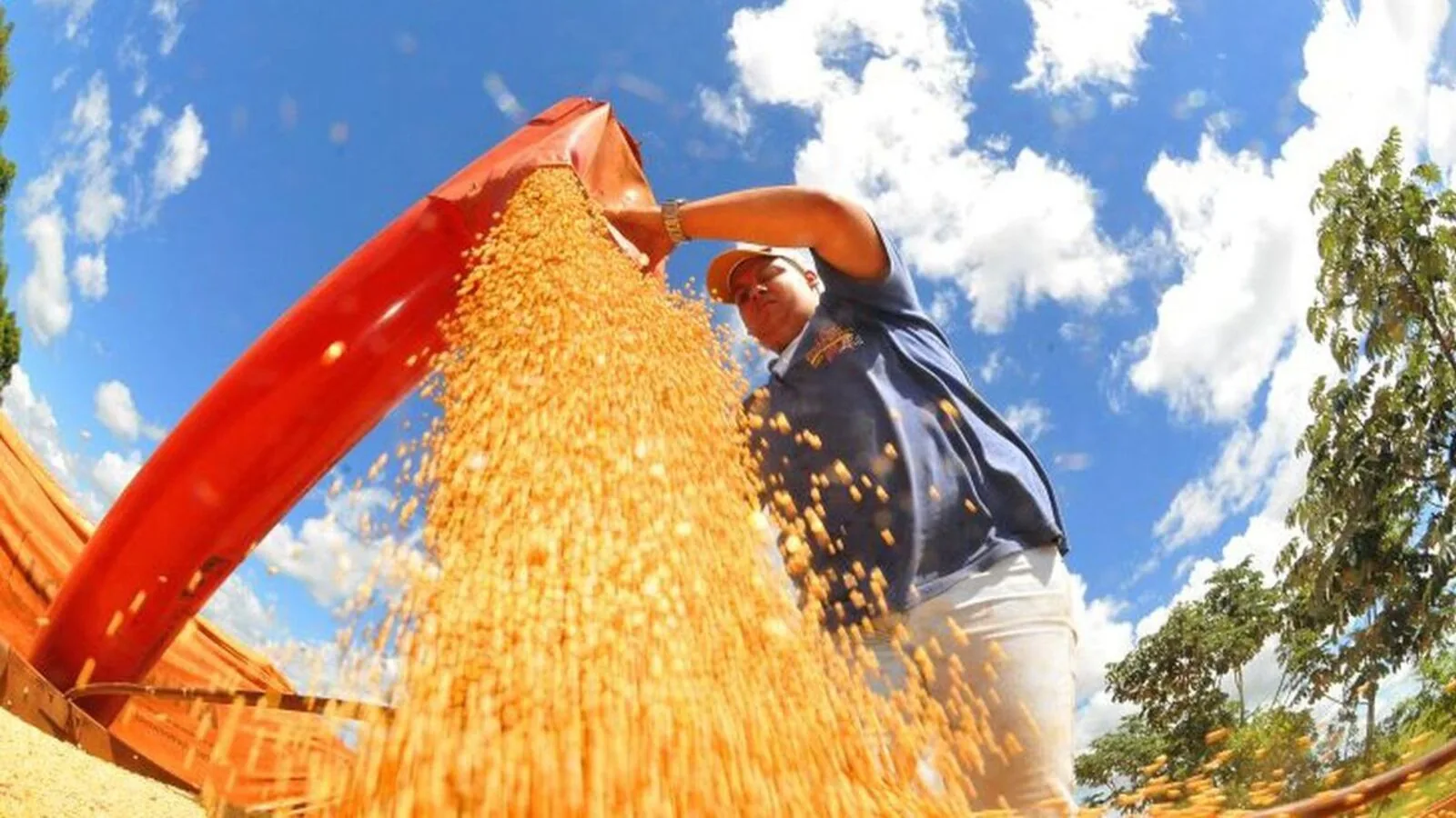 Dívida do agronegócio dispara no Brasil e inadimplência chega a R$ 48,6 bilhões em agosto, enquanto créditos problemáticos já somam R$ 204,9 bilhões