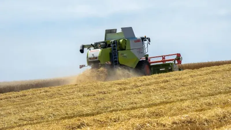 Banco aperta o cerco: o que o produtor rural precisa provar para pegar empréstimo na safra 2026/27