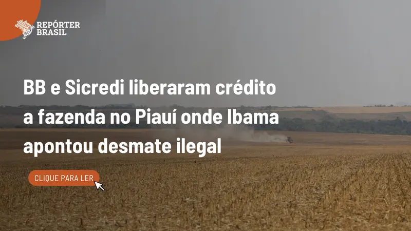 BB e Sicredi liberaram crédito a fazenda no PI onde Ibama apontou desmate ilegal