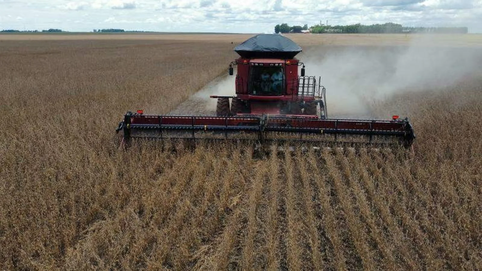 Crédito rural em MS recua 21,3% no Plano Safra 2025/26
