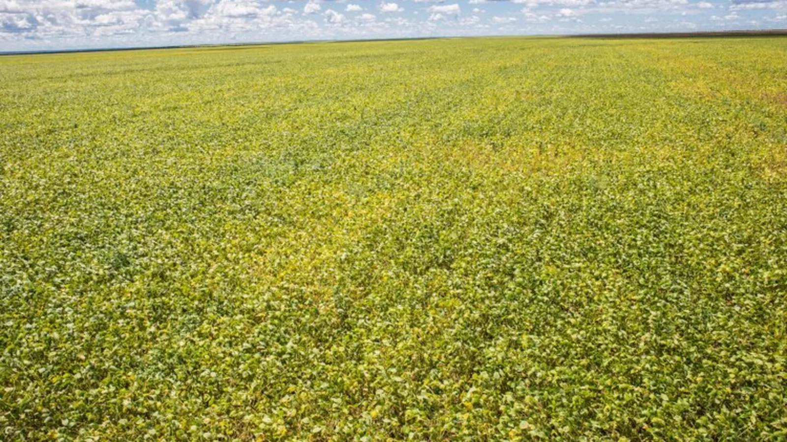Resolução CMN 5.314/2026 altera procedimento de prorrogação de dívidas do crédito rural
