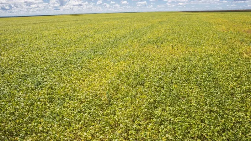 Resolução CMN 5.314/2026 altera procedimento de prorrogação de dívidas do crédito rural
