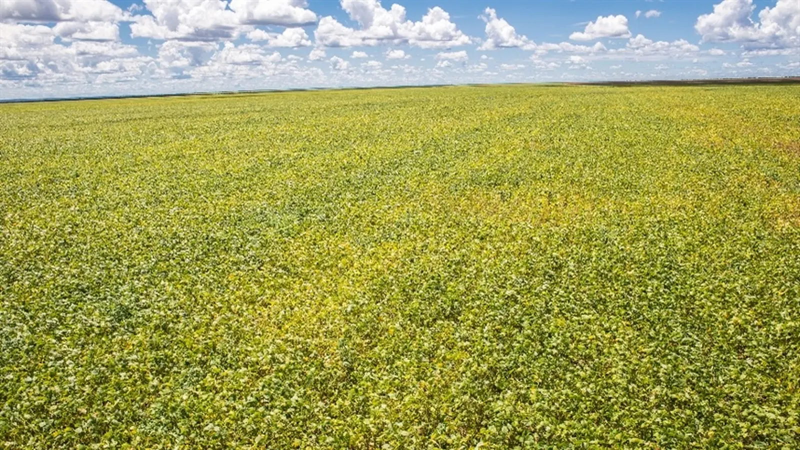 Resolução CMN 5.314/2026 altera regras de prorrogação do crédito rural